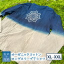 【ふるさと納税】 Tシャツ ロングスリーブ XL/XXLサイズ 藍染 泥染 オーガニックコットン ハイカラー×たけの花 藍 藍染め 泥染め 宍喰祇園染 天然染料