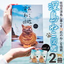 【ふるさと納税】深島ねこ図鑑vol.2 (2冊) 猫 ねこ 写真集 本 雑誌 書籍 深島 猫の島 グッズ 大分県 佐伯市 【HD67】【さいき本舗 城下堂】