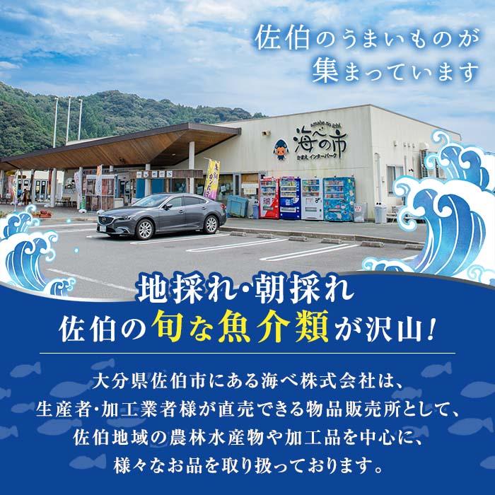 こだわりの塩うにセット(60g×1本)うに ウニ 雲丹 塩うに 冷凍 海の直売所 大分県 佐伯市【AS163】【海べ】
