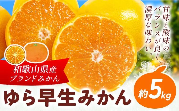 みかん ゆら早生みかん 約5kg