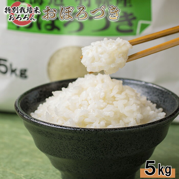 【ふるさと納税】【2025年産】 北海道羽幌産 特別栽培米 おぼろづき5kg ｜ 5キロ 米 美味しいお米 強い粘り 安心 安全 北海道米 ワンストップ オンライン申請 ふるさと納税 北海道 羽幌町 羽幌【0811802】