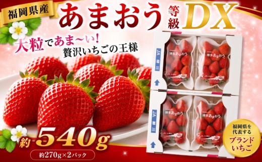 【先行予約】あまおう 等級DX 約270g×2パック 計約540g いちご 苺 果物 フルーツ【2027年2月上旬～3月下旬迄順次発送予定】