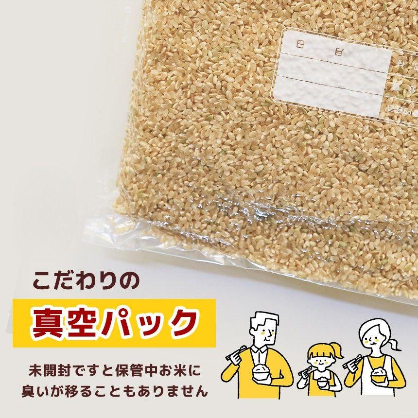 【定期便3回】お米 令和8年産 とちぎの星 玄米 2kg×2袋【2026年産】 | 栃木県共通返礼品 真岡市産 栃木県 矢板市 【定期便3回】4kg | 27600円