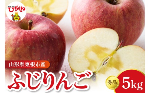 【2026年産】 りんご ふじ5kg (12~20玉) 秀品 山形県 東根市 フルーツピッカー提供 hi097-012