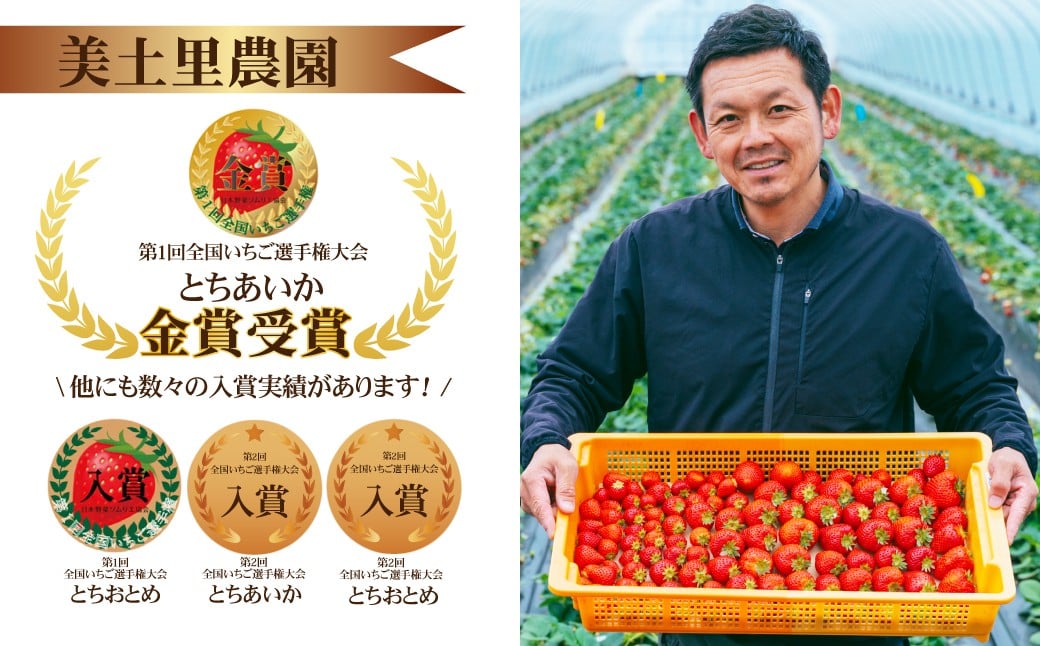 いちご イチゴ 苺 とちあいか 完熟 ギフト