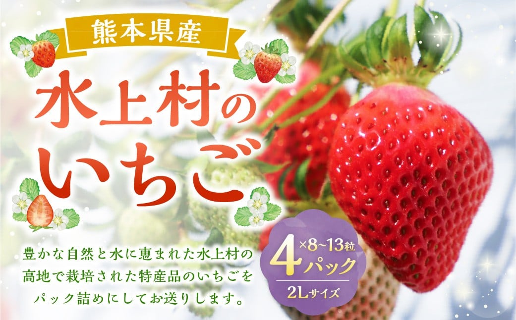 
             水上村 の いちご 2Lサイズ×4パック (1パック8～13粒入り) 【2026年1月下旬～3月下旬発送予定】 特産品 大玉 イチゴ 苺
          