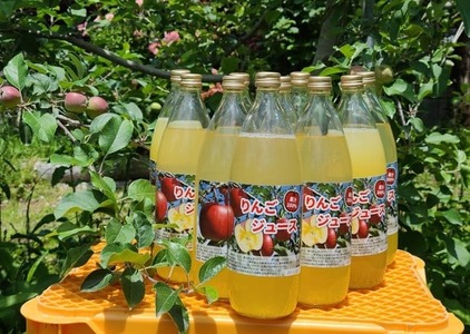 【甘さと酸味が絶妙】 搾りたてりんごジュース 1,000ml×2本 完熟 りんごジュース