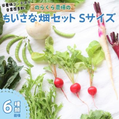 ふるさと納税 佐久穂町 【単発】信州北八ヶ岳からお届け〜のらくら農場の旨み野菜セット〜6種類前後(Sサイズ1〜2人分)