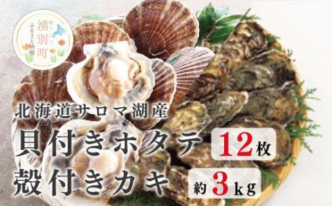 ≪先行予約2024年11月から配送≫北海道サロマ湖産　貝付きホタテ12枚・カキ約3kg　ほたて　帆立　刺身　牡蠣　かき　海鮮　魚介　殻付き　貝付き　冷蔵　サロマ湖　オホーツク　おほーつく　湧別町　北海道
