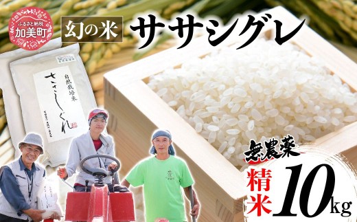 《 希少品種米 》  米 令和7年 宮城県産 ササシグレ ( 栽培期間中農薬・肥料不使用 ) 精米 白米 10kg ｜ 宮城県 加美町 無農薬 お米 こめ コメ ささしぐれ ササニシキ の 父 ｜ nt-ss10-r7