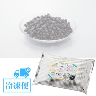 ふるさと納税 小松市 【先行予約】ベリー アロニア 1kg 果物 フルーツベリー |  | 03