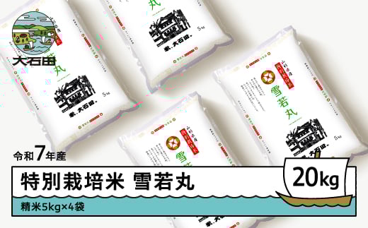 米 令和7年産 米 雪若丸 20kg 2026年6月上旬発送 大石田町産 特別栽培米 精米 ※沖縄・離島への配送不可 ja-yusxa20-6f