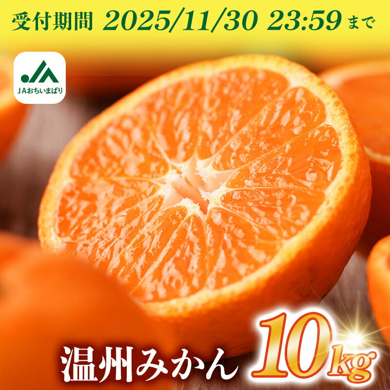 【ふるさと納税】【先行予約】＼迷ったらコレ！／温州みかん たっぷり 10kg 期間限定 ふるさと納税ミカン 温州ミカン 甘いみかん 愛媛みかん 果物 故郷納税フルーツ ふるさと納税フルーツ 愛媛ふるさと納税 愛媛県ふるさと納税 JA【KC00760】