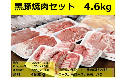 北海道 黒豚焼肉Bセット計4600g・ハンバーグ10個・味噌漬け350g付 ロース 肩ロース バラ モモ ハンバーグ 冷凍 小分け 黒豚 豚肉 お肉 肉味 噌漬け みそ漬け