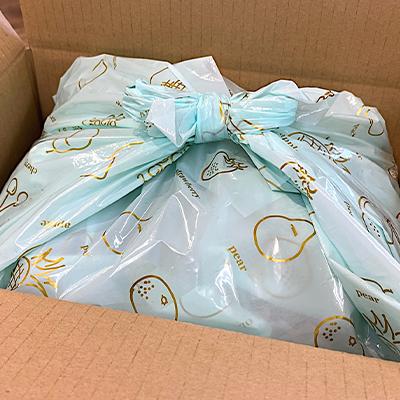 ふるさと納税 中野市 高丘フルーツの長野県産「旬のフルーツ詰め合わせ」(Mサイズ) |  | 02