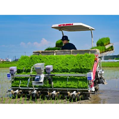 ふるさと納税 羽島市 令和7年産　岐阜県産ハツシモ(玄米)10kg  国産 米 |  | 02