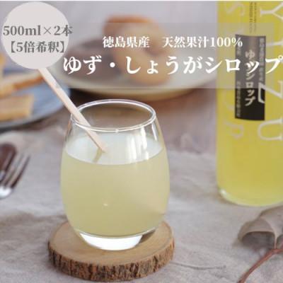 ふるさと納税 阿南市 徳島県産果汁たっぷり　ゆず・しょうがシロップ(500ml)2本セット【5倍希釈】