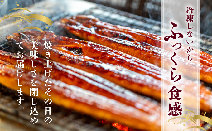 ＜順次発送/定期便2回＞ うなぎ蒲焼き 計800g (200g×2尾×2回) 冷蔵 21ys-0002