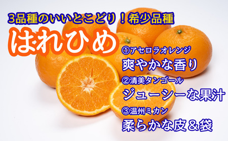 【先行予約】2025年12月解禁日より順次発送！小笠まんまる農園の贈答用『三好・三野産はれひめ（ＳＵＮＳＡＮみかん）2L 15個 化粧箱入り』　※50セット限定