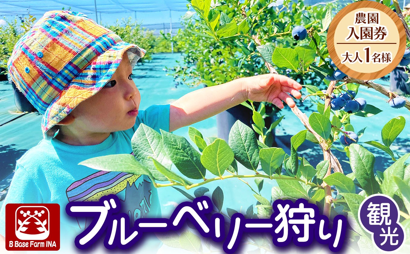 
                  ブルーベリー狩り観光農園入園券（大人1名様）【007-93】| ブルーベリー狩り ブルーベリー 体験 食べ放題 観光 入園券 大粒 長野県 伊那市
                