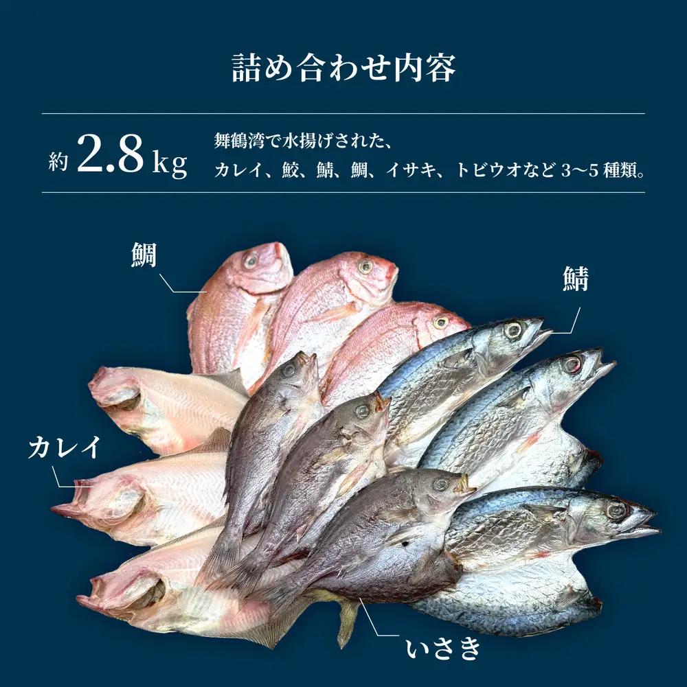 【ふるなびWEEK対象】 【訳あり】 干物 約2.8kg 詰め合わせ 干物
