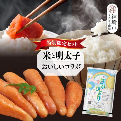 ふるさと納税 神埼市 【2回定期便】特別限定セット さがびよりと明太子 おいしいコラボ(H996P128)