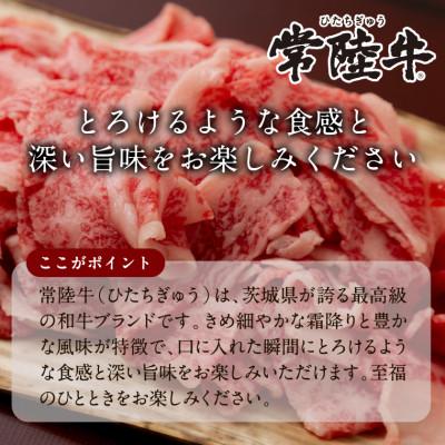 ふるさと納税 行方市 常陸牛 牛丼の具 5袋 |  | 01