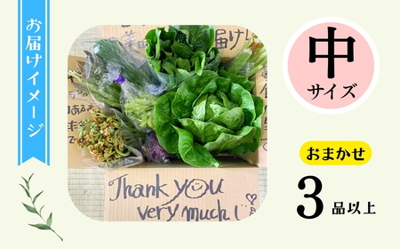 【期間限定】～旬っていちばんのごちそう～ひぐらし農場 季節の野菜便（夏）中サイズ（7-A35）