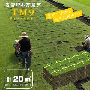 【先行予約 2026年3月以降発送】芝生(省管理型コウライ芝　TM9ティーエムナイン)20束セット※20平米分
