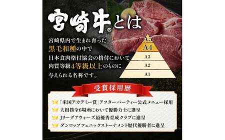 【A4等級以上】宮崎牛ロース焼肉用スライス 400g（内閣総理大臣賞 A4 A5 宮崎牛 牛肉 黒毛和牛 焼肉 ロース 宮崎県）