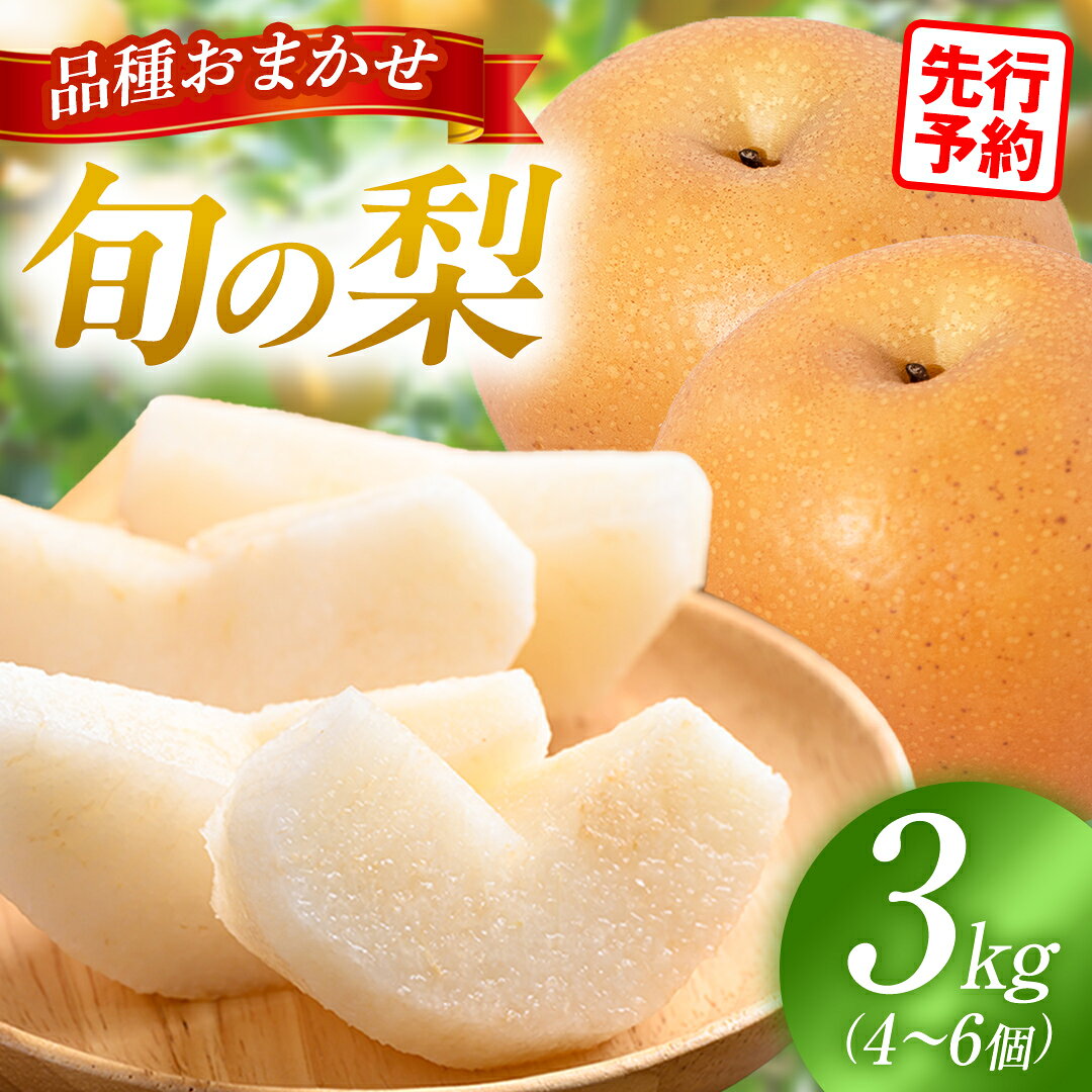 【ふるさと納税】【先行予約】 梨 品種 おまかせ 約3kg（ 4～6個 ）2026年9月上旬 順次発送 農家直送 恵水 王秋 あきあかり あきづき りんか 完熟 フルーツ 果物 産地直送 糖度 高い 梨 茨城 人気