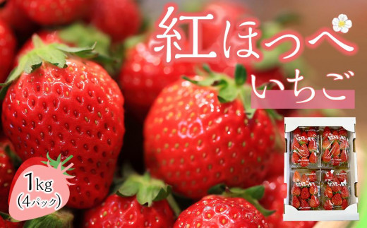 
                  いちご (紅ほっぺ）約250g×4パック（約1kg）
                