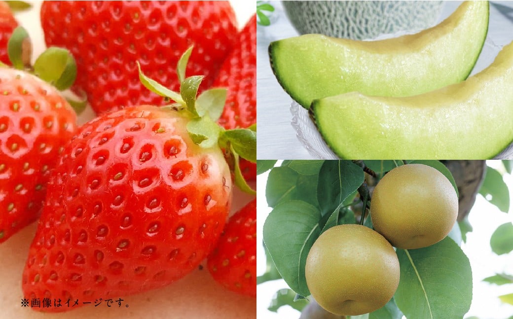 
            【フルーツ3回定期便】 球磨のいちご 1kg ＋ アンデスメロン 5kg ＋ 梨 5kg 【2026年1月中旬～10月上旬迄順次発送予定】 苺 いちご イチゴ メロン なし ナシ 和梨 果物 果実 フルーツ 定期便 九州 熊本県 あさぎり町 冷蔵
          