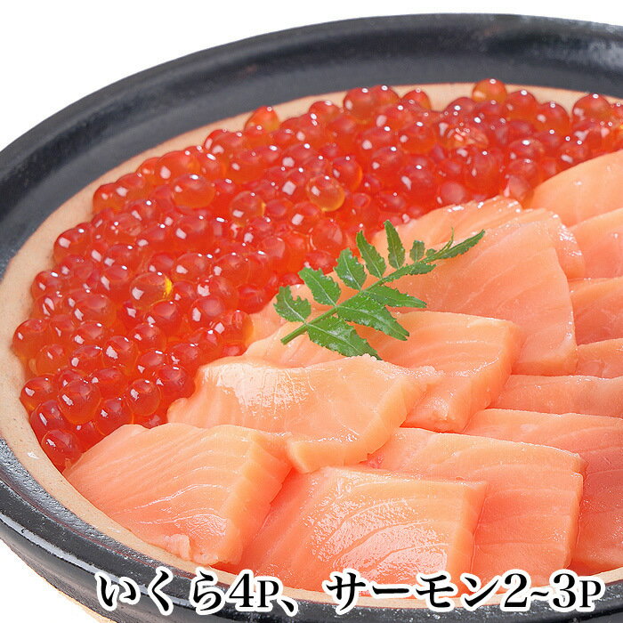 【ふるさと納税】いくら醤油漬け80g×4P・生食可アトランティックサーモン2～3P(計500～600g前後)セット B-81018