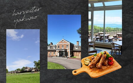 ハーベスター八雲　八雲産豚のスペアリブ2パックセット ※沖縄・離島への配送不可