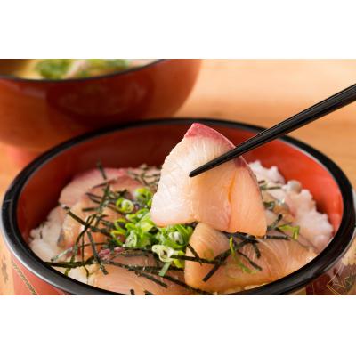 ふるさと納税 多度津町 オリーブはまち1本まるごと(四分一カット)【先行受付:令和7年10月中旬頃から出荷】【C-313】 |  | 02