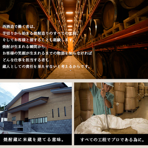 No.253 ふるさと納税限定！人気の焼酎！薩摩宝山豪華セット(6銘柄・各900ml×1本 計6本) 焼酎 酒 アルコール 芋焼酎 薩摩芋 米麹 常温 常温保存 セット 飲み比べ【西酒造】