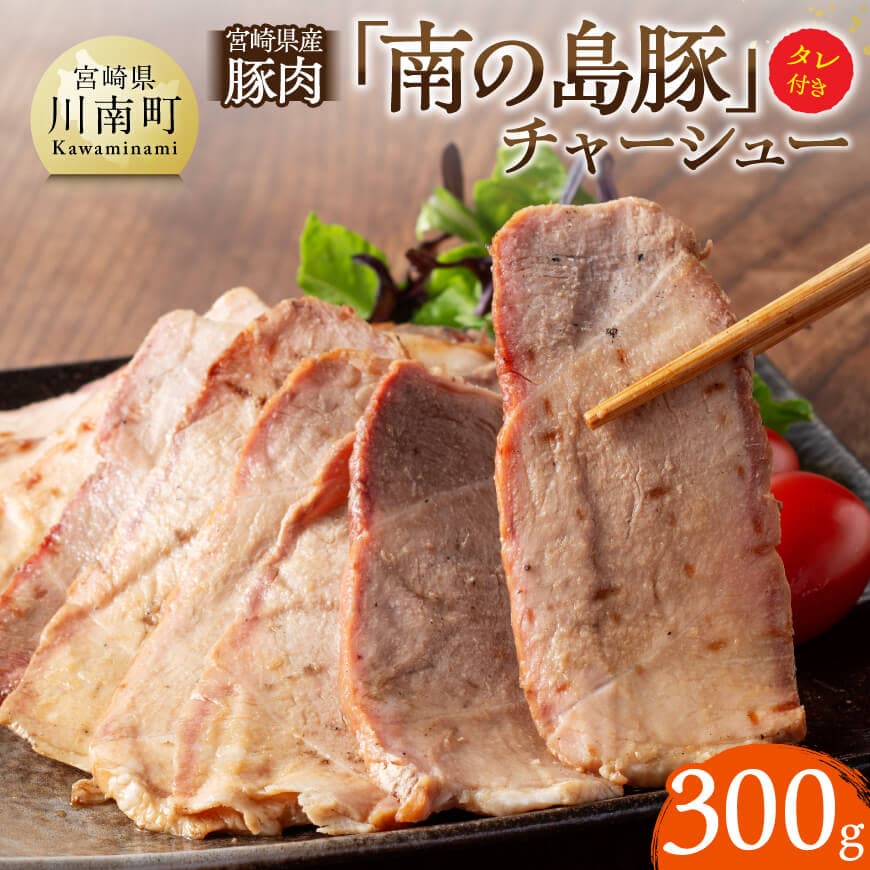 【ふるさと納税】※レビューキャンペーン※ 宮崎県産豚肉　「南の島豚」チャーシュー300g（タレ付） - 宮崎県産 国産 豚肉 豚 チャーシュー 宮崎県 川南町 D12101