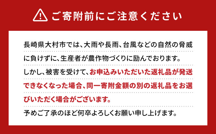【2026年7月下旬から順次発送】 大村マンゴー 約800g (2L×2個) / 先行予約 マンゴー アップルマンゴー まんごー フルーツ トロピカルフルーツ 甘い 期間限定 国産 冷蔵配送  / 大
