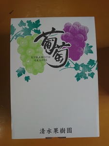 先行予約 シャインマスカット 約1.2kg (1房 約300g×4パック) 【2026年7月下旬から8月中旬発送予定】
