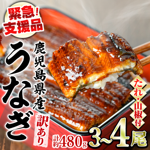 【0164334a】【緊急支援品】＜訳あり＞鰻の蒲焼き(無頭)(3～4尾・計約480g・タレ、山椒付) うなぎ ウナギ 鰻 国産 蒲焼 蒲焼き たれ 鹿児島 ふるさと 人気 支援【アクアおおすみ】