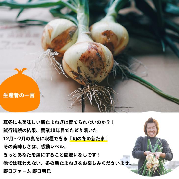 淡路島野口ファームの冬の新たまねぎ ５kg