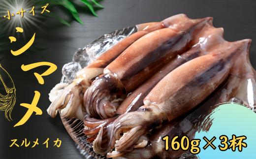 【朝どれシマメ 丸ごと3杯セット】160g×3杯  いか イカ スルメイカ 朝どれシマメ