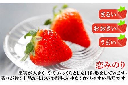 いちご イチゴ 苺 ゆめのか・恋みのり 計 1kg「ゆめ恋セット」《壱岐市》【蒼花】 [JEO001] 12000 12000円  コダワリいちご・イチゴ・苺 こだわりいちご・イチゴ・苺 おすすめいち