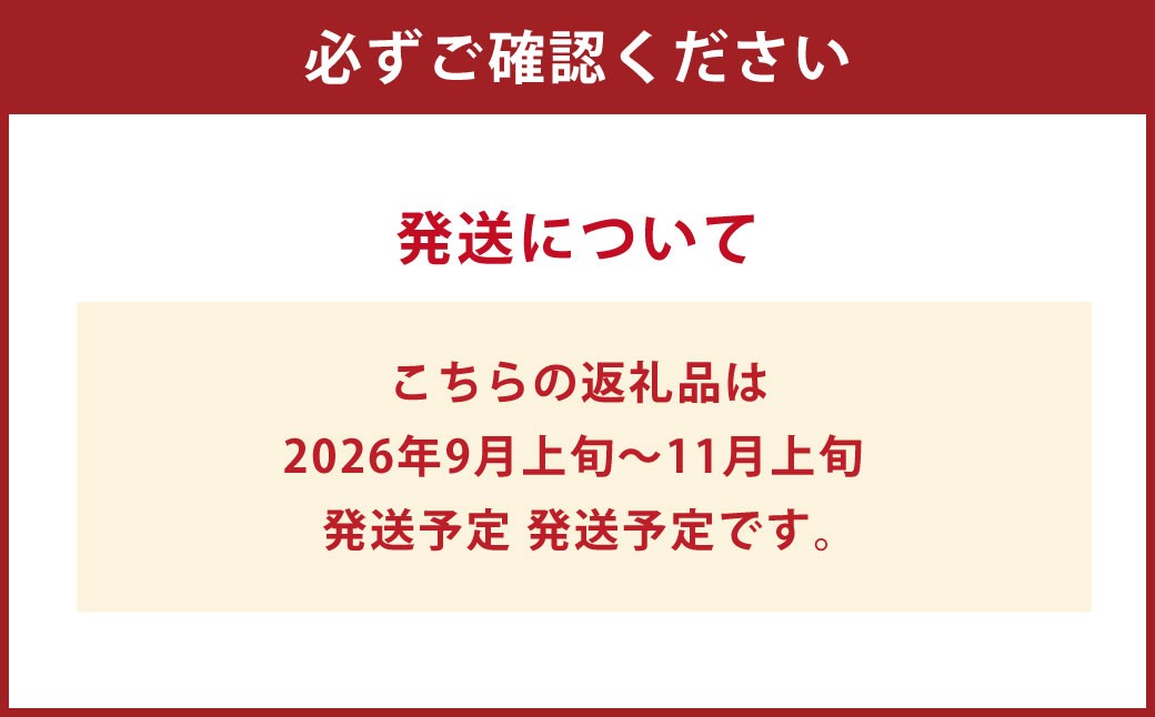 シャインマスカット 晴王（特大房）2房入り（合計約2kg）