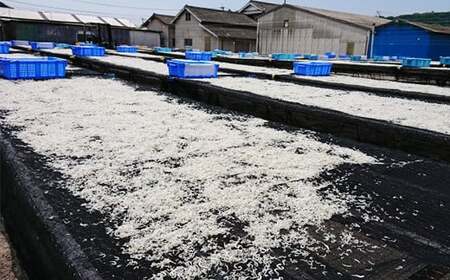 国産!添加物不使用!豊後別府湾ちりめん220g(小分け55g×4パック) 小分け 国産 ちりめん ちりめんじゃこ おつまみ <108-032_5>