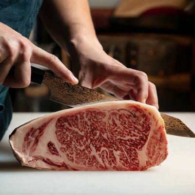 ふるさと納税 関市 包丁2本セット 牛刀包丁&ペティナイフセット/特製切付包丁 瑞雲 関兼次 ダマスカス 調理器具 |  | 01