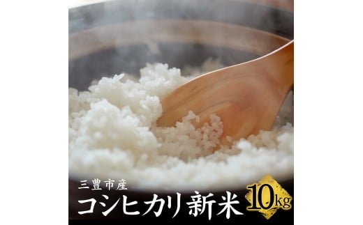M64-0112_【ふるさと納税】【11/10頃より発送】新米コシヒカリ　10kg