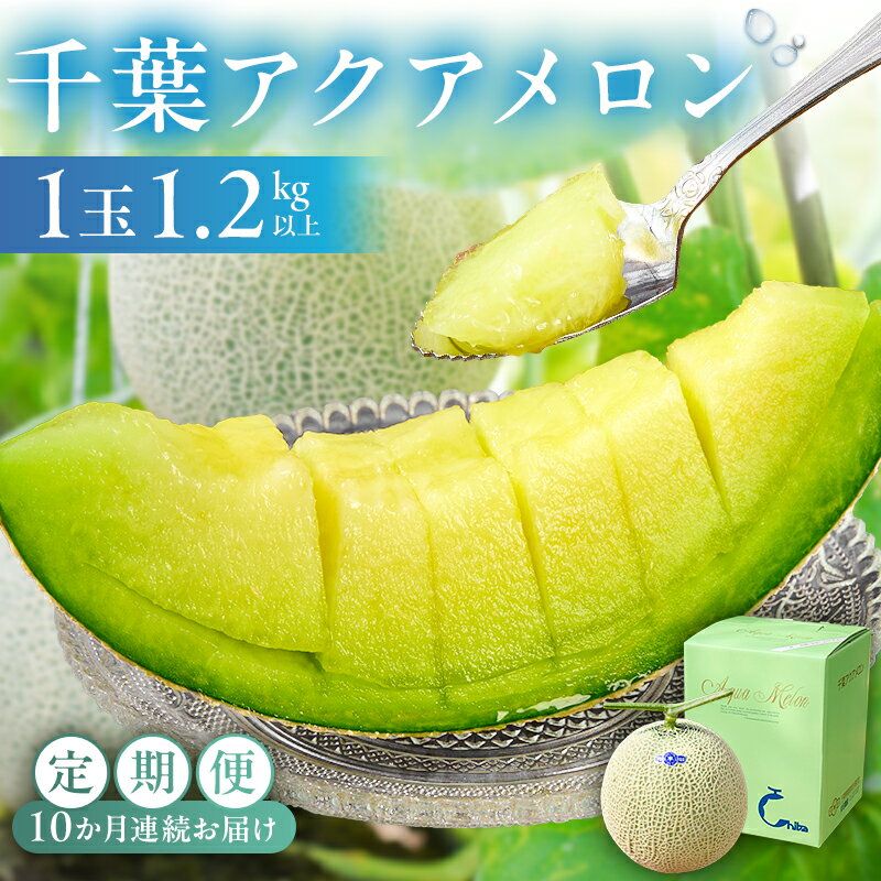【ふるさと納税】 定期便 千葉アクアメロン1玉（1.2Kg） 10ヶ月連続お届け 高評価レビュー 人気 高級品 厳選 メロン 化粧箱入り フルーツ 果物 デザート 農園 千葉県 南房総市 お取り寄せ グルメ 送料無料