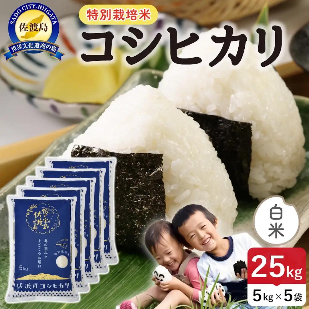 令和8年産 佐渡島産コシヒカリ 白米25kg 特別栽培米 195962-121702